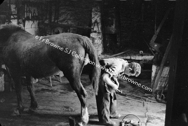 HORSE BEING BEING SHOD BY BLACKSMITH AT GIBB'S FORGE